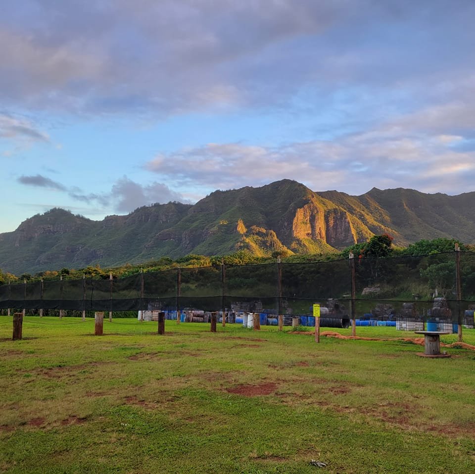 Paintball Kauai photo 1 in Lihue